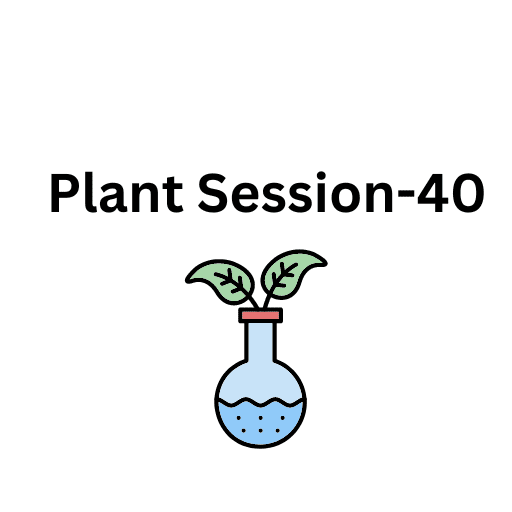 Plant Session-40